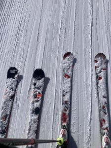 immer brav - mit Abstand