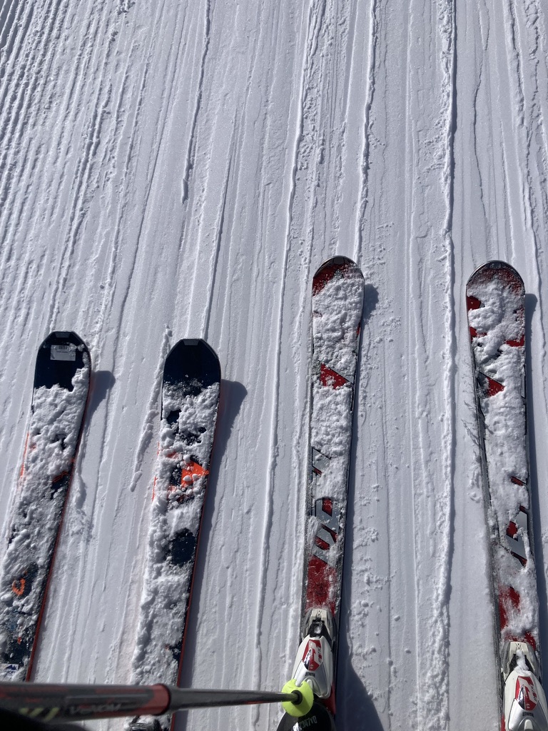 immer brav - mit Abstand